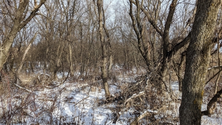 Decatur County, Iowa Hunting Land For Sale with CRP Income - image 9