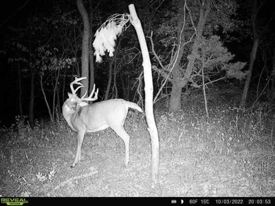 Decatur County, Iowa Hunting Land For Sale with CRP Income - image 13