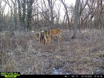 Decatur County, Iowa Hunting Land For Sale with CRP Income - image 24