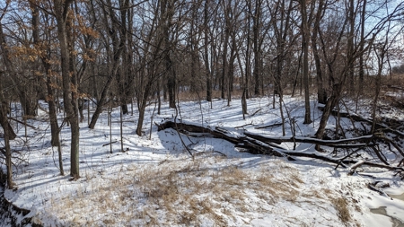 Decatur County, Iowa Hunting Land For Sale with CRP Income - image 36