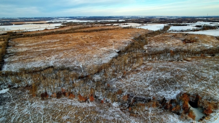 Decatur County, Iowa Hunting Land For Sale with CRP Income - image 3