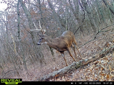 Decatur County, Iowa Hunting Land For Sale with CRP Income - image 21