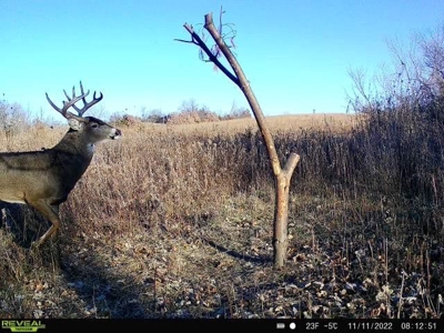 Decatur County, Iowa Hunting Land For Sale with CRP Income - image 10