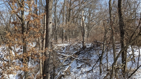 Decatur County, Iowa Hunting Land For Sale with CRP Income - image 8