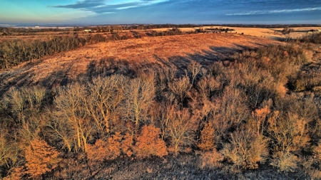 Decatur County, Iowa Hunting Land For Sale with CRP Income - image 2