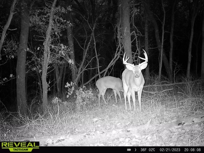 Decatur County, Iowa Hunting Land For Sale with CRP Income - image 25