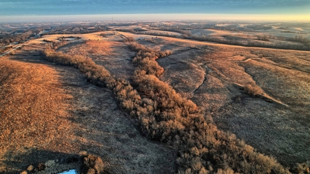 Decatur County, Iowa Hunting Land For Sale with CRP Income - image 5