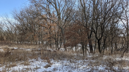 Decatur County, Iowa Hunting Land For Sale with CRP Income - image 39
