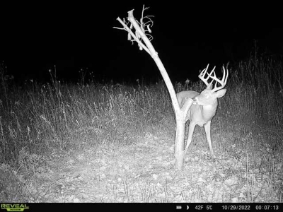 Decatur County, Iowa Hunting Land For Sale with CRP Income - image 14