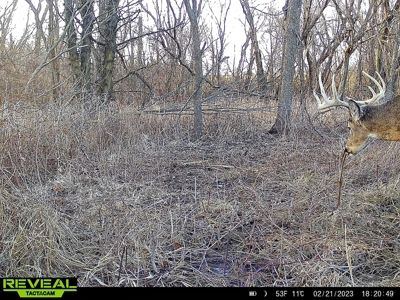 Decatur County, Iowa Hunting Land For Sale with CRP Income - image 23