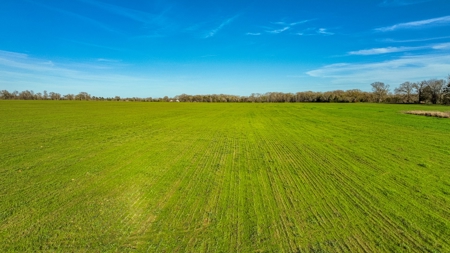 12.9 Acres East Texas Winnsboro Wood County Land With Pond - image 9