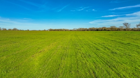 12.9 Acres East Texas Winnsboro Wood County Land With Pond - image 10