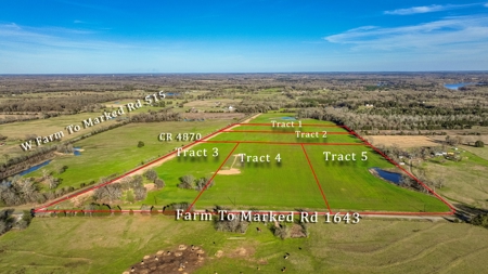 12.9 Acres East Texas Winnsboro Wood County Land With Pond - image 5