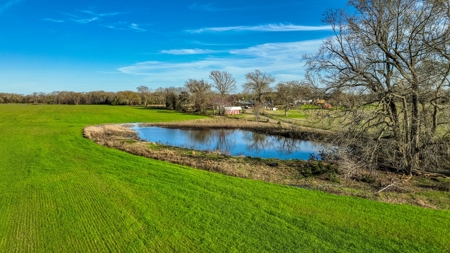 12.9 Acres East Texas Winnsboro Wood County Land With Pond - image 8