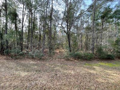 Waterfront Lot for Sale in Beaufort NC - image 10