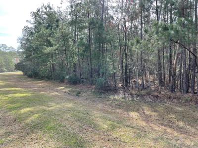 Waterfront Lot for Sale in Beaufort NC - image 13