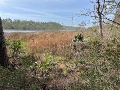 Waterfront Lot for Sale in Beaufort NC - image 22