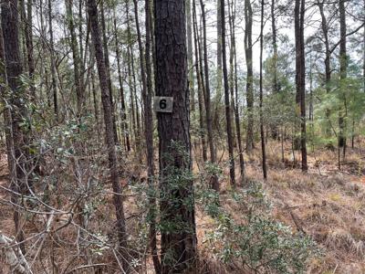 Waterfront Lot for Sale in Beaufort NC - image 20