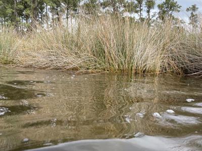 Waterfront Lot for Sale in Beaufort NC - image 33