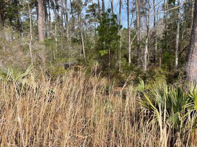 Waterfront Lot for Sale in Beaufort NC - image 27