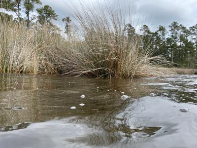 Waterfront Lot for Sale in Beaufort NC - image 32