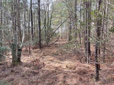 Waterfront Lot for Sale in Beaufort NC - image 17