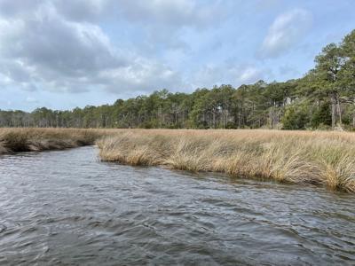 Waterfront Lot for Sale in Beaufort NC - image 35