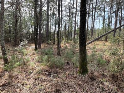 Waterfront Lot for Sale in Beaufort NC - image 19