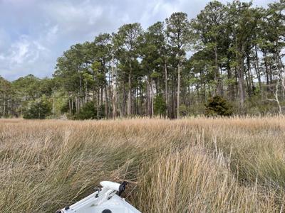 Waterfront Lot for Sale in Beaufort NC - image 29