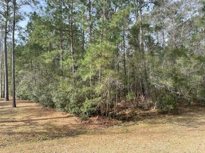 Waterfront Lot for Sale in Beaufort NC - image 12