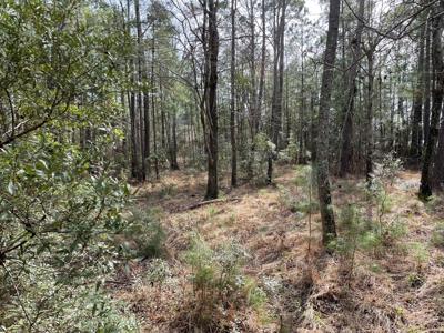 Waterfront Lot for Sale in Beaufort NC - image 18