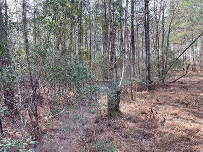 Waterfront Lot for Sale in Beaufort NC - image 16