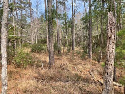 Waterfront Lot for Sale in Beaufort NC - image 21