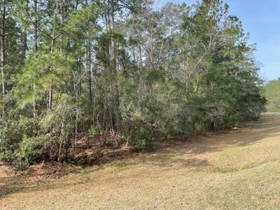 Waterfront Lot for Sale in Beaufort NC - image 11