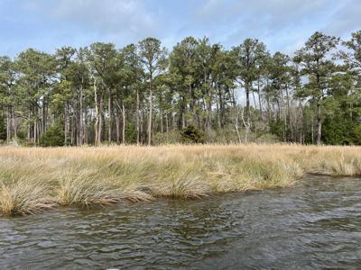 Waterfront Lot for Sale in Beaufort NC - image 36