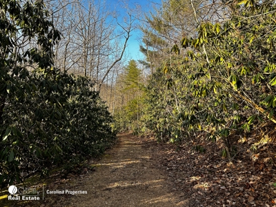 Land with Homesite for Sale in Surry County NC - image 7
