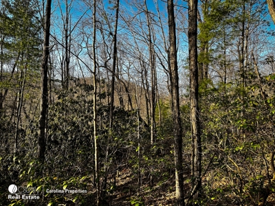 Land with Homesite for Sale in Surry County NC - image 8