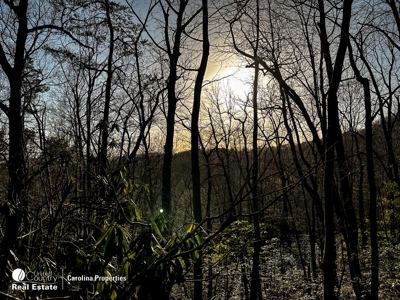 Land with Homesite for Sale in Surry County NC - image 1