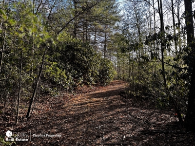 Land with Homesite for Sale in Surry County NC - image 4