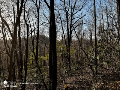 Land with Homesite for Sale in Surry County NC - image 13