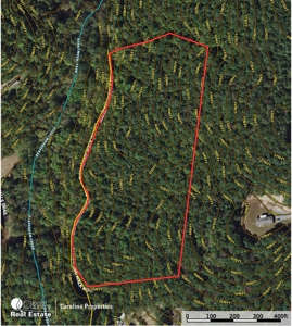 Land with Homesite for Sale in Surry County NC - image 17