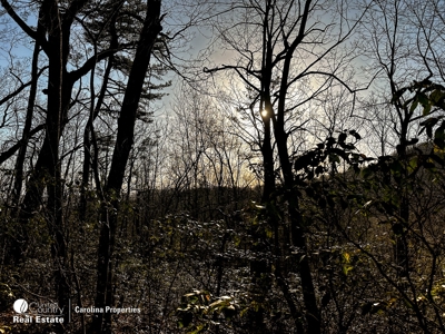 Land with Homesite for Sale in Surry County NC - image 9
