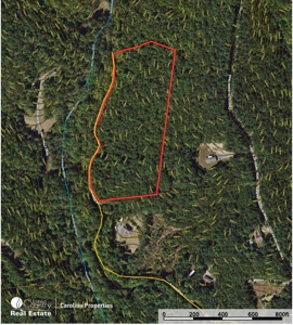 Land with Homesite for Sale in Surry County NC - image 15