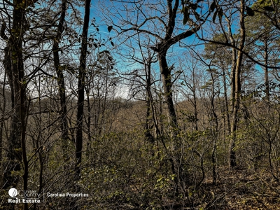 Land with Homesite for Sale in Surry County NC - image 12