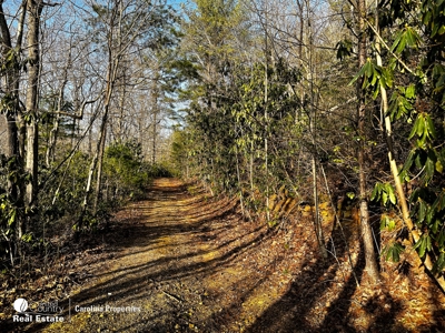 Land with Homesite for Sale in Surry County NC - image 6