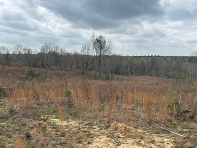 Macon County 300 - image 1