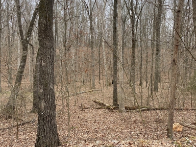 24.48 acre tract for sale in Huntsville Arkansas - image 7