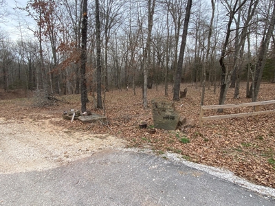 24.48 acre tract for sale in Huntsville Arkansas - image 5