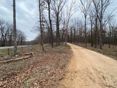 24.48 acre tract for sale in Huntsville Arkansas - image 6