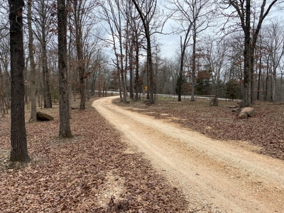 24.48 acre tract for sale in Huntsville Arkansas - image 9